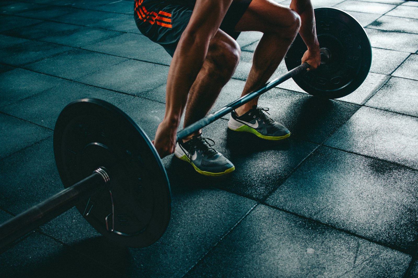 Treino Funcional — Fox Force